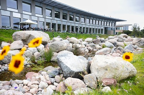 Campus Albano – hållbarhet och miljöhänsyn i alla led