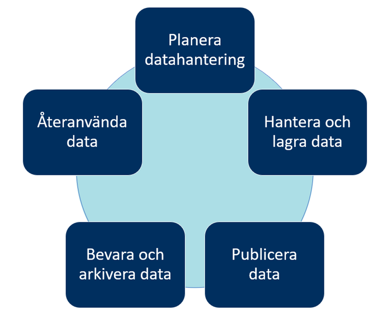 Forskningsdatacykel som illustrerar sidans rubriker: Planera datahantering, Hantera och lagra data, Publicera data, Bevara och arkivera data, samt Återanvända data