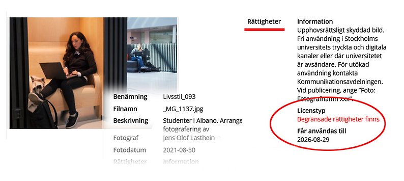 Bilden visar användarrättigheter i SUs Mediabank.